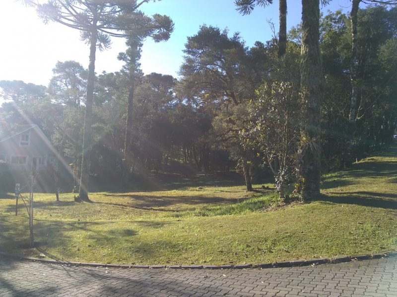 Terreno em Condomnio - Venda - Altos Pinheiros - Canela - RS