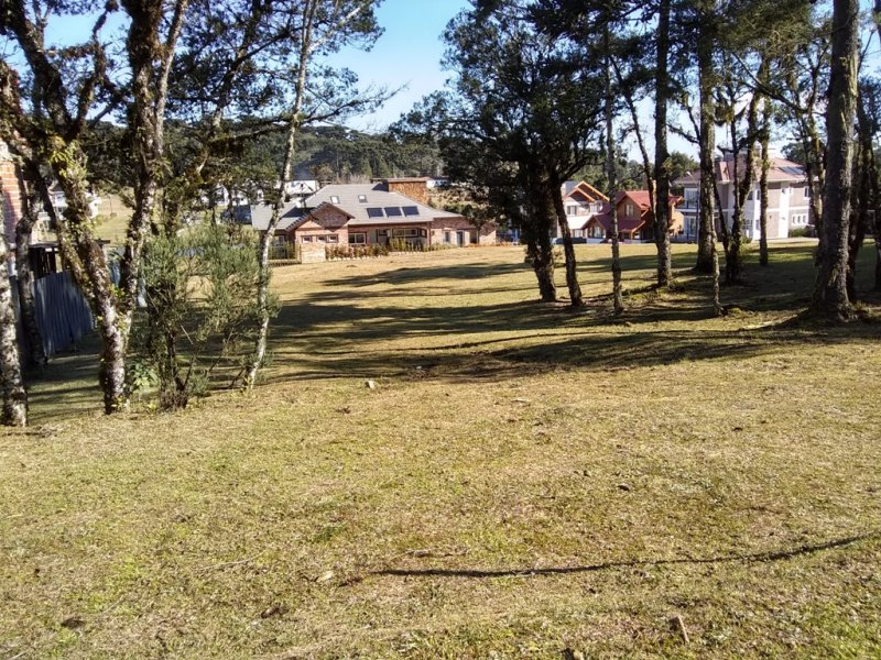 Terreno em Condomnio - Venda - Altos Pinheiros - Canela - RS
