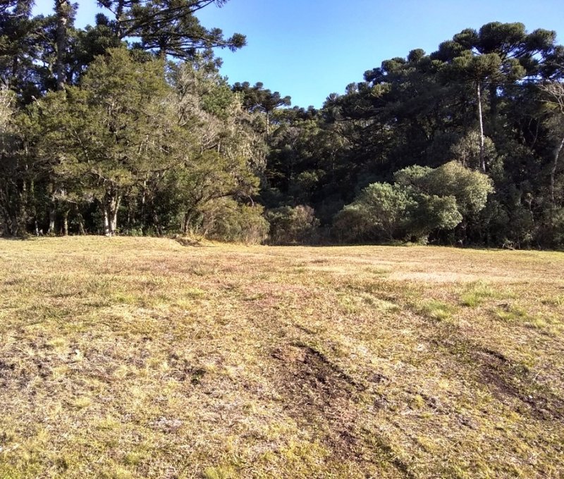 Terreno em Condomnio - Venda - Altos Pinheiros - Canela - RS