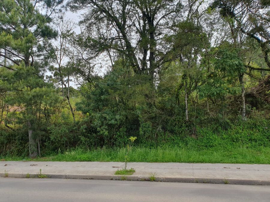 Terreno - Venda - Canelinha - Canela - RS