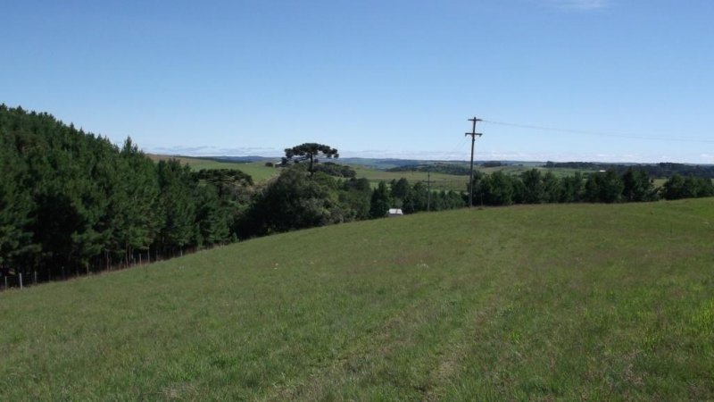 Stio - Venda - Jardim das Fontes - Canela - RS